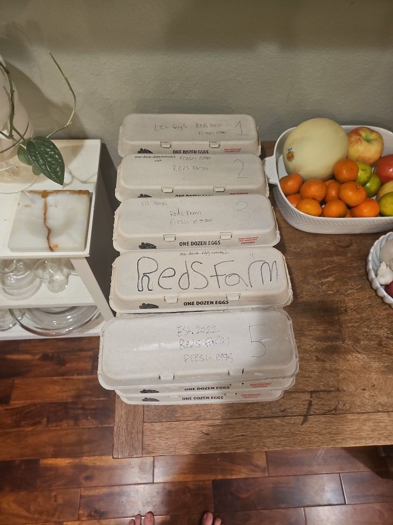 Reds Farm Fresh Eggs 6.00$ A Dozen