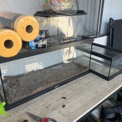 Tanks fish and reptile