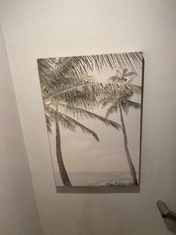 Beautiful Palm canvas