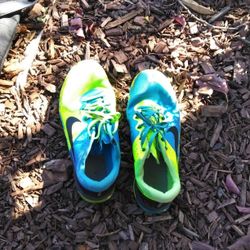 Nike Shoes  Size 11 Mens