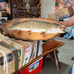 Fish With Wooden Back