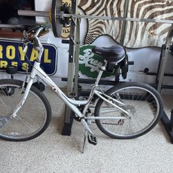 Older Bike Looking For A New Owner 