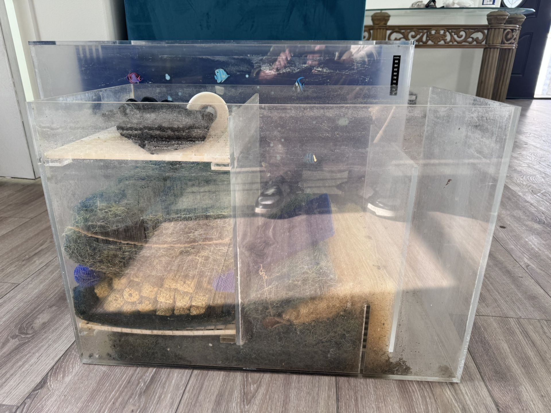 Fish Tank