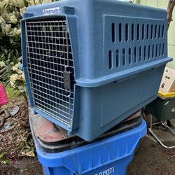 Medium Large Dog Kennel in good shape 