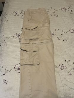 Pacsun Baggy Cargo pants
