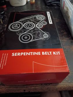 SERPENTINE BELT WITH BEARING