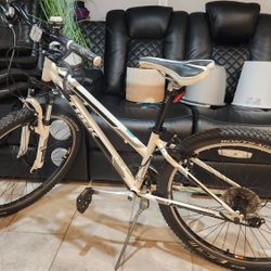 Mountain Bike Trek