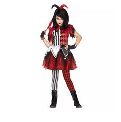 Harley Quinn costume
