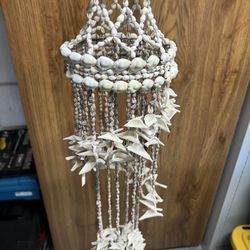 Beautiful Shark tooth Wind chime