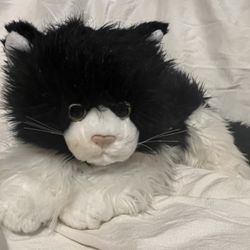 CAT 2007