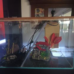 Fish Tanks With Accessories 