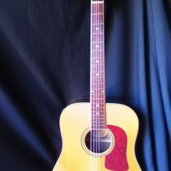 George Washburn Acoustic Guitar 