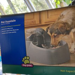 Dog Water fountain 