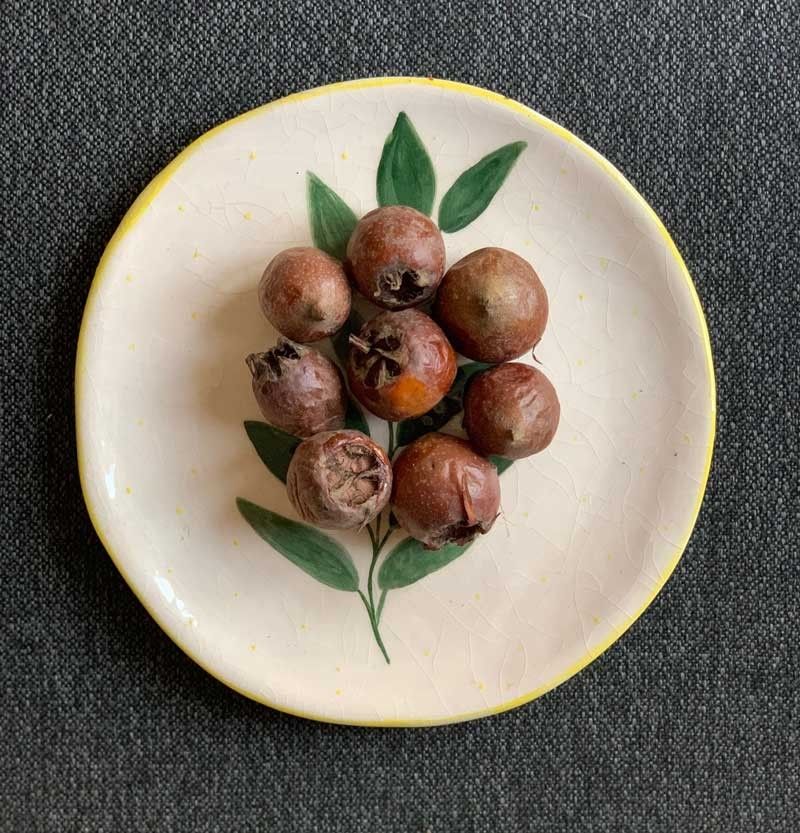 Azgil FRUIT TREE