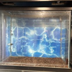 Fish Tank (NEEDS RESEALING)