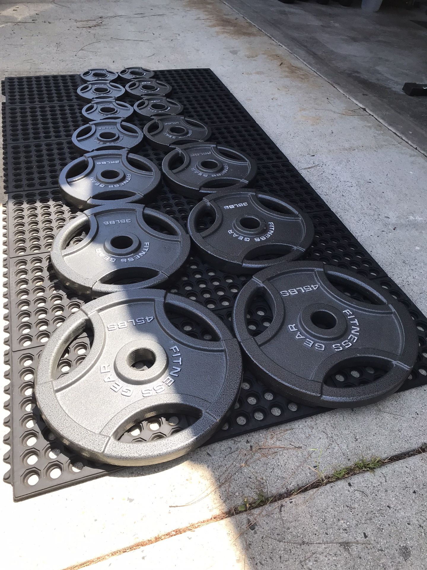 Weights With Weight/ Barbell Holder