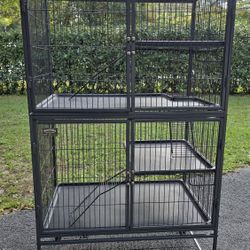 Ferret Nation 2 Story Cage