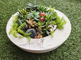 Succulent Garden Bowl