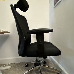 Ergonomic Office Chair