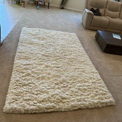 Super Shag Rug From RH Teen