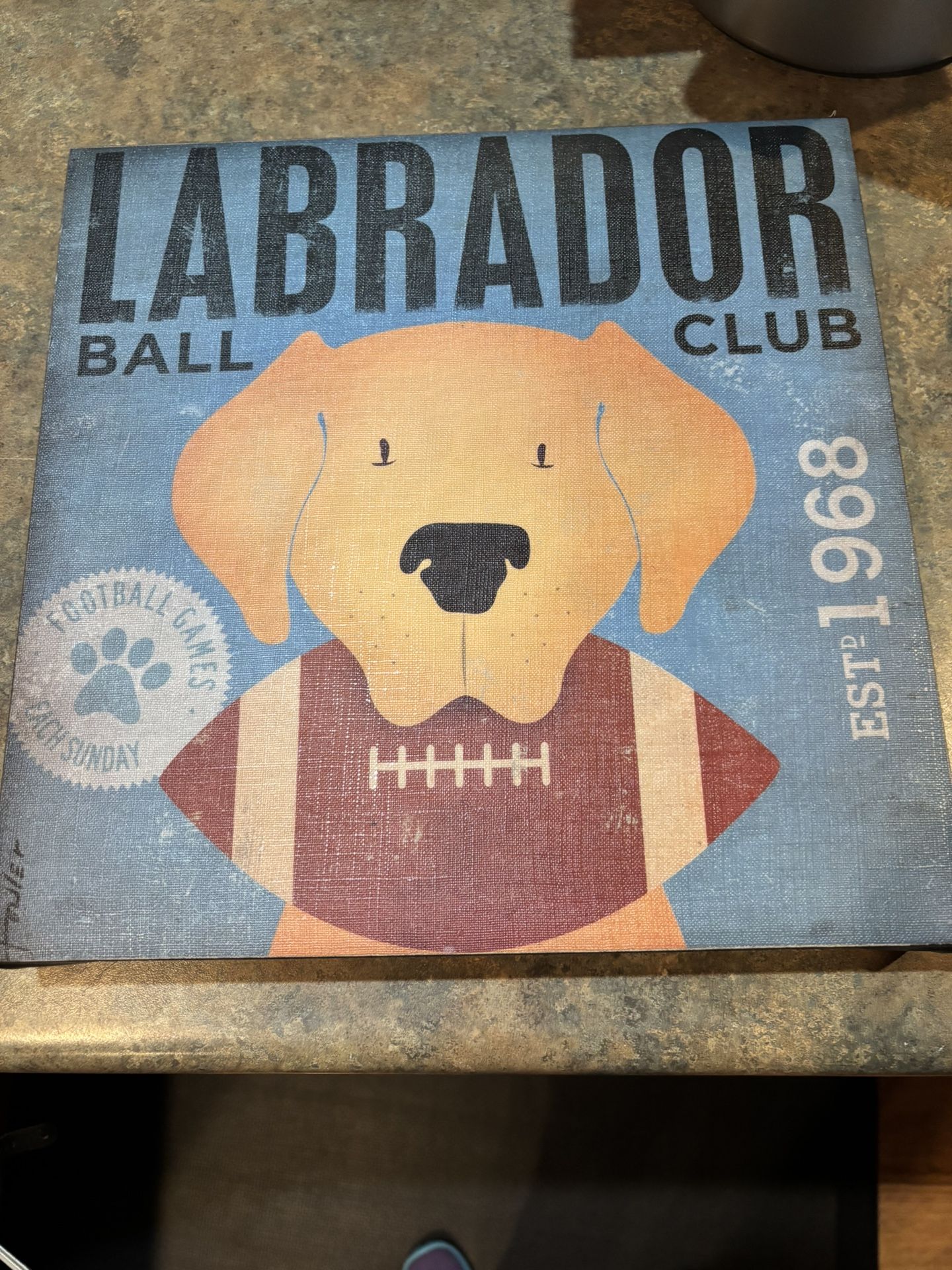 Labrador Ball Club wall hanging