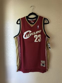 Lebron James Jersey