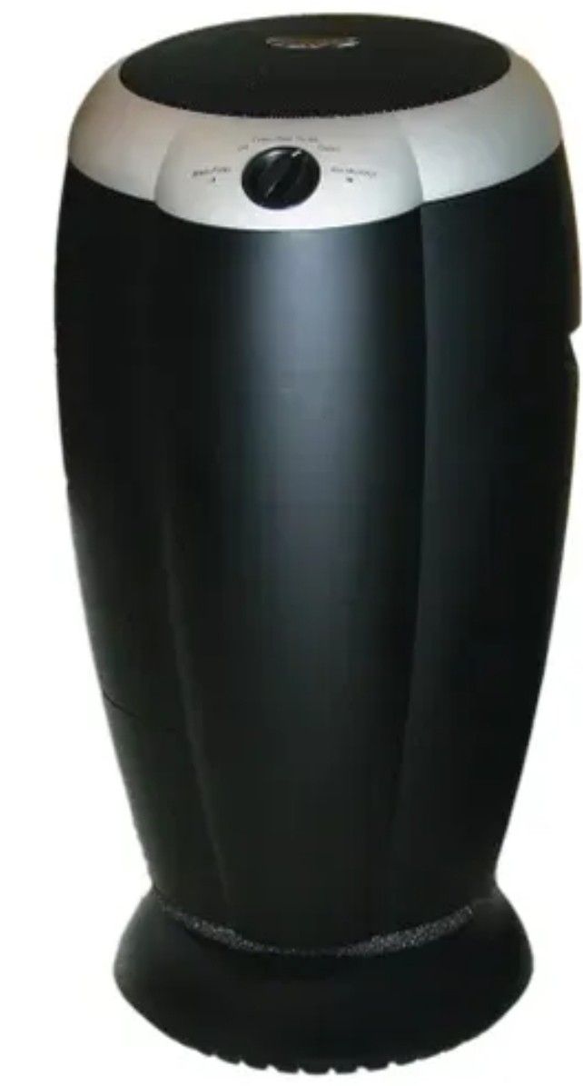 Air cleaner filtration system