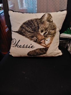 NEW!!! C&O Railroad's Chessie Throw Pillow