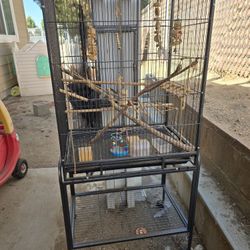 Bird Cage