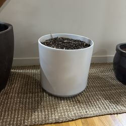 Large Ceramic plant Pots (20’’, 15’’, 13”, 12”)