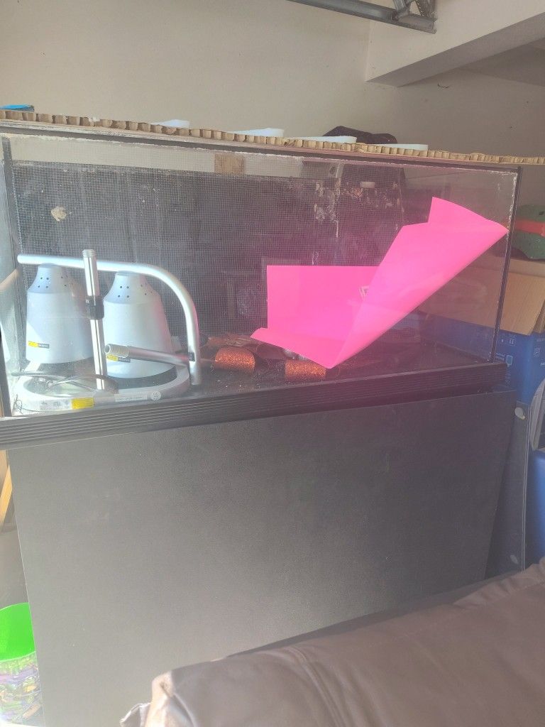 Large Fish Tank It Comes With A Filter