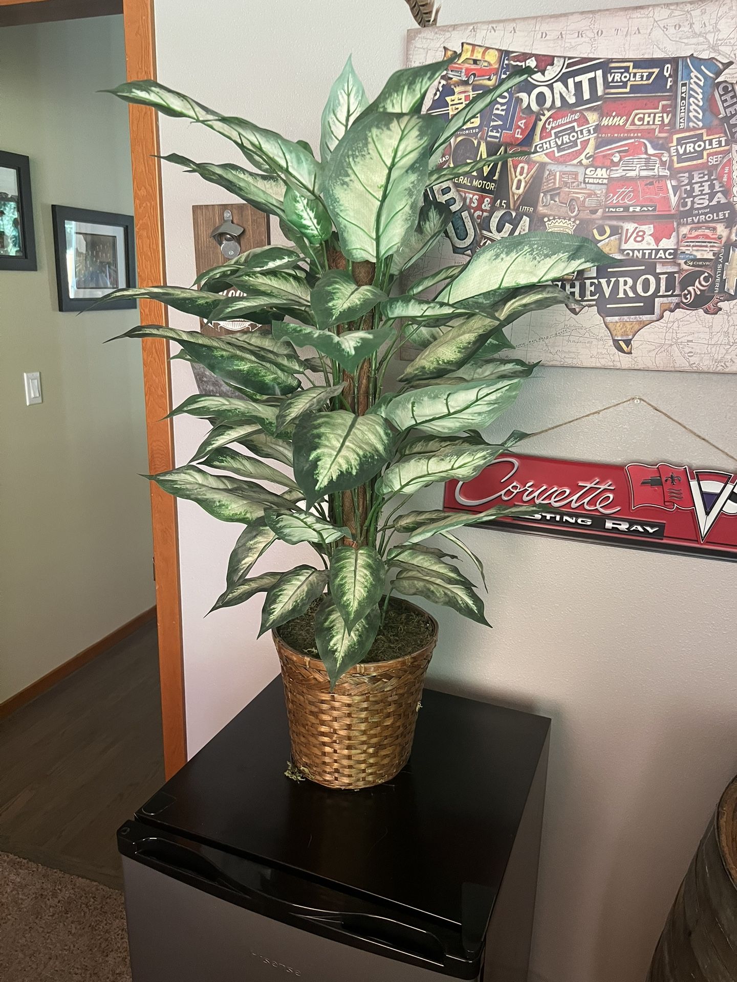 House Plant Faux