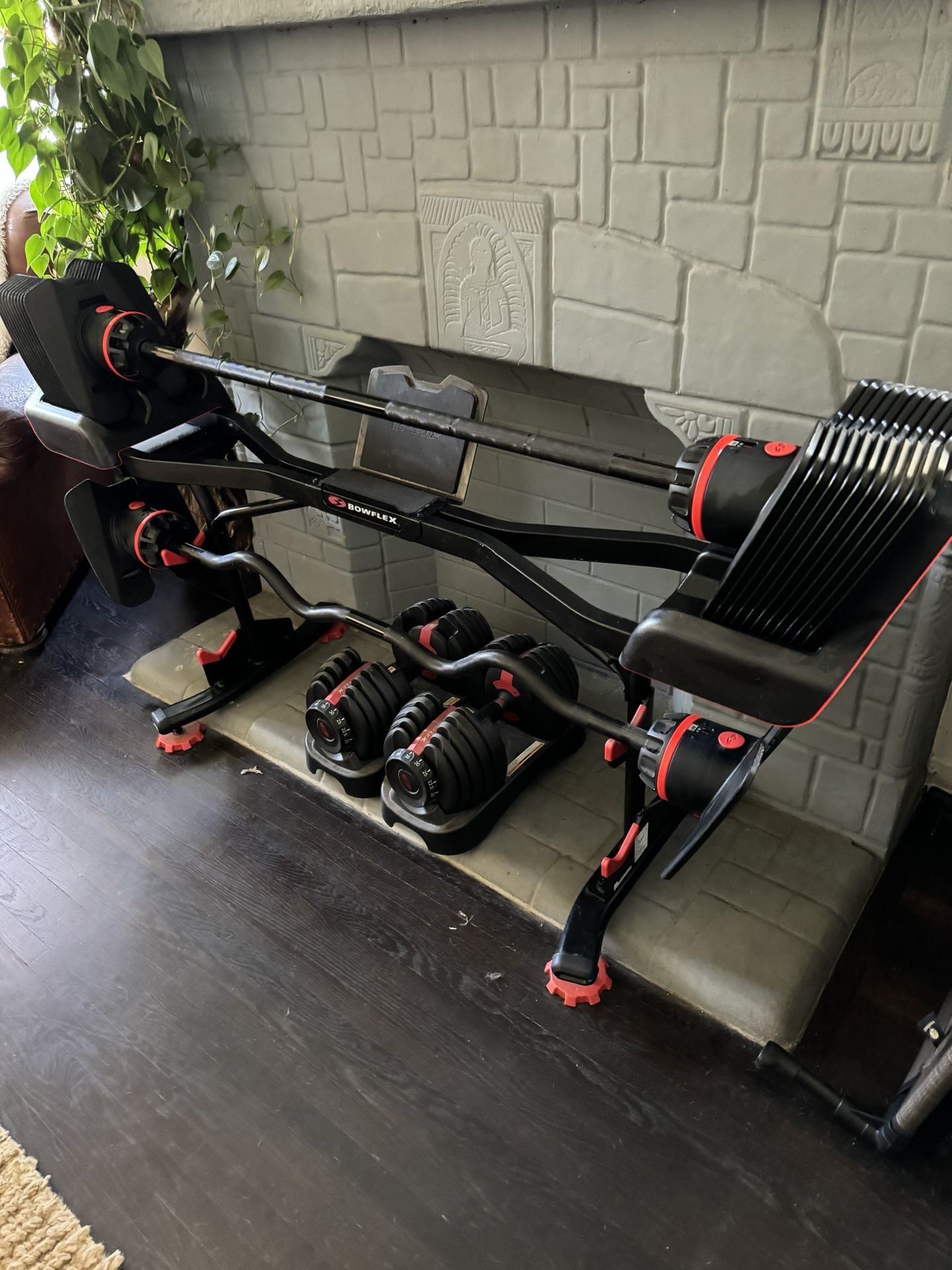 Bowflex Curling Bars With Stand