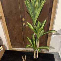 5ft Fake Palm Tree