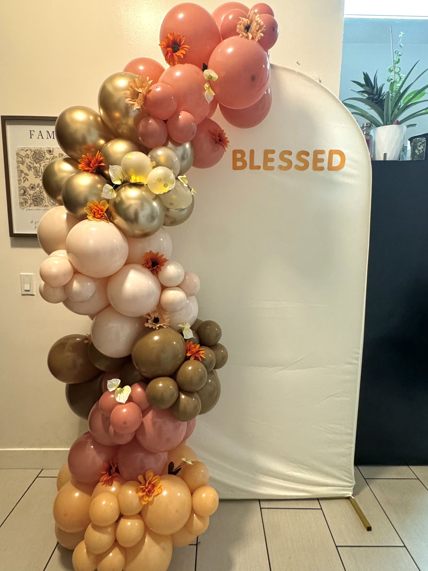 Balloon Garland - Arreglo De Globos