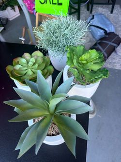 Set of 4 Potted Faux Succulents