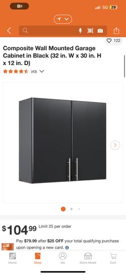 Composite Wall Mounted Garage Cabinet in Black (32 in. W x 30 in. H x 12 in. D)