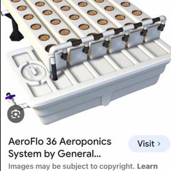 Hydroponics System