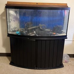 Fish tank