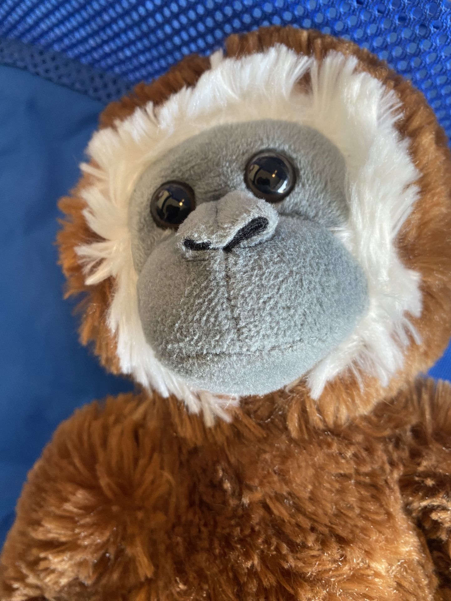 (N84) Plush Monkey Like New