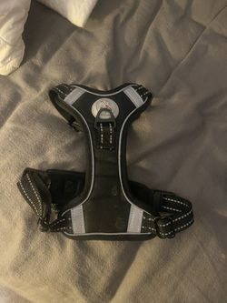 Extra Small Dog Harness