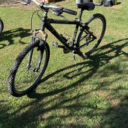 Adult Trek bike 