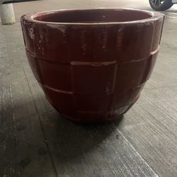 Plant Pot