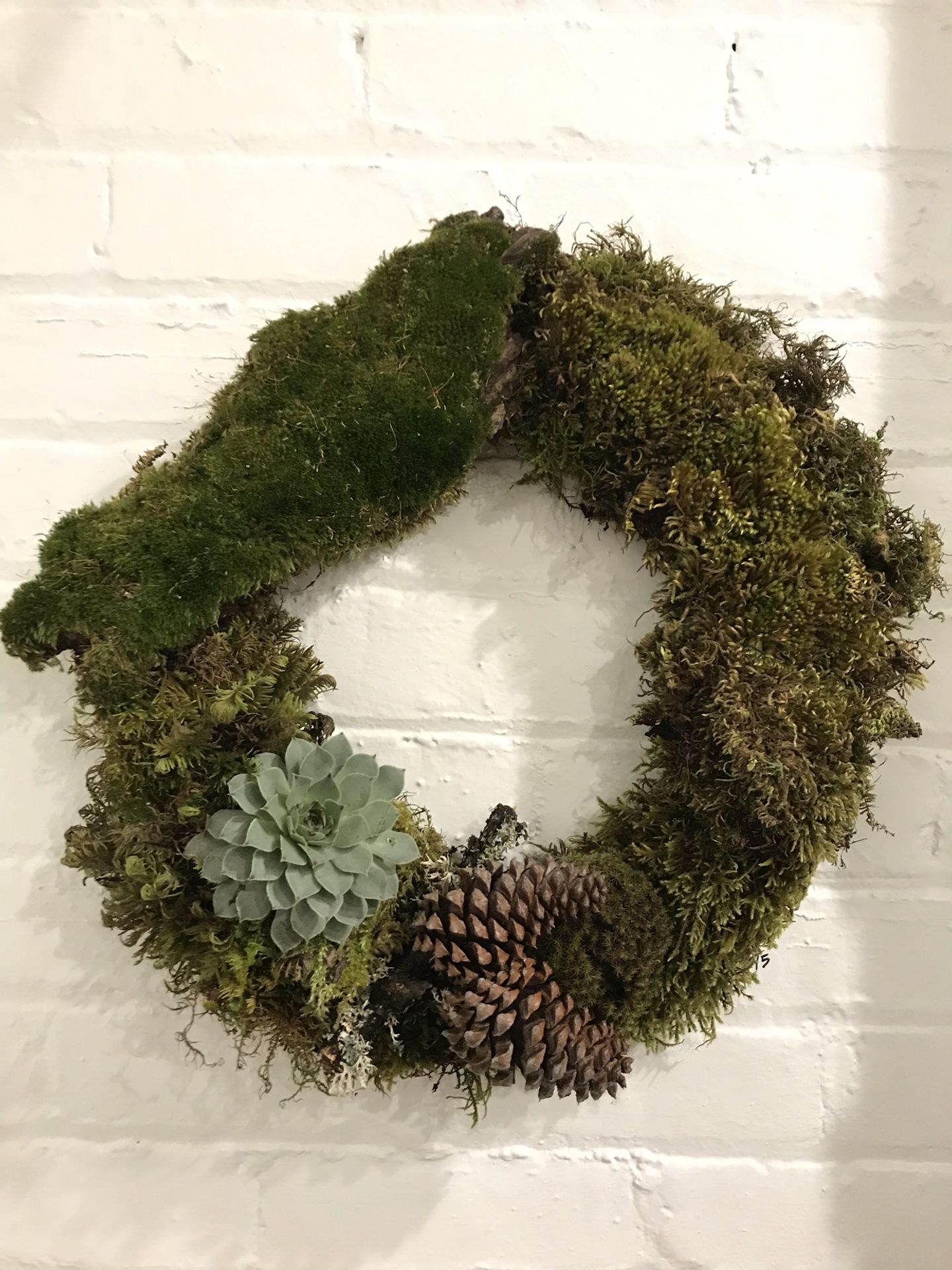 Living Moss Wreaths with Succulents