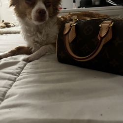 Purse 