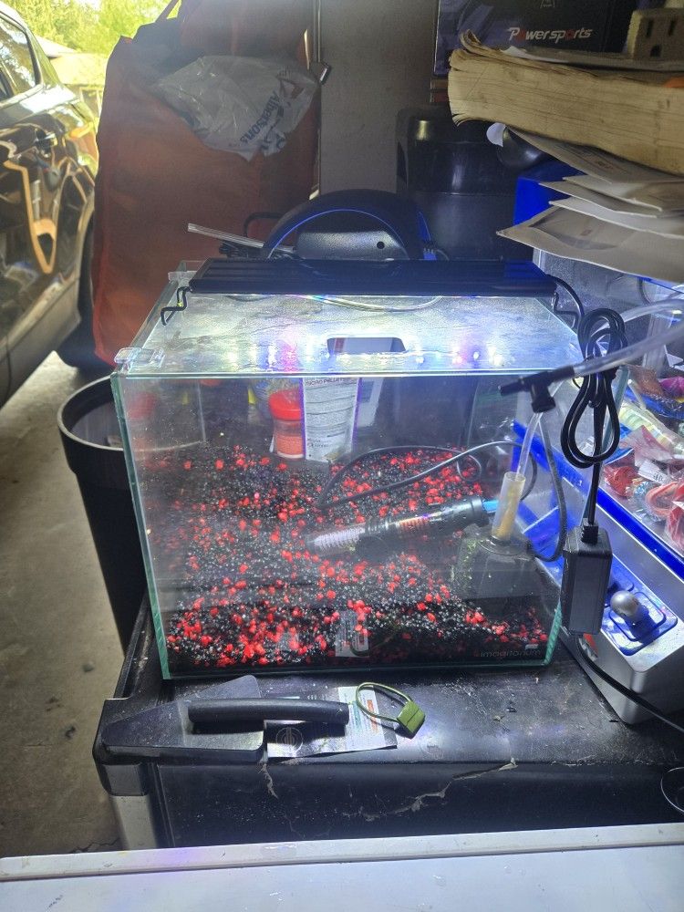 5.5 Gallin Aquarium