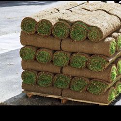 Grass Sod For Sale 