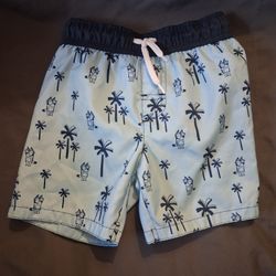 Swim Trunks