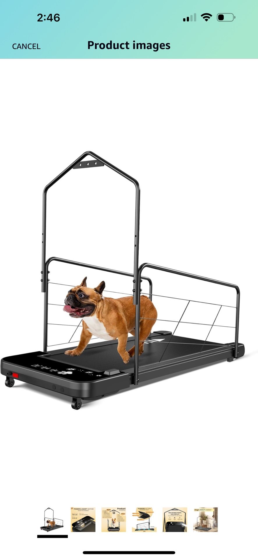 Dog Treadmill for Small Medium Dogs: Dog Training Treadmill with Remote Control for Small Dog Exercise Indoor Walking Workout Pet Running Treadmill