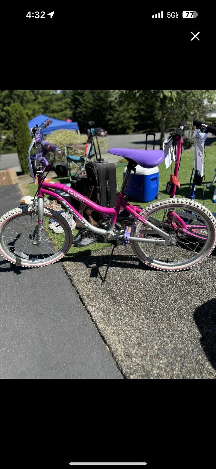 17” Girls Magna Bike
